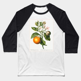 Bitter Orange Baseball T-Shirt